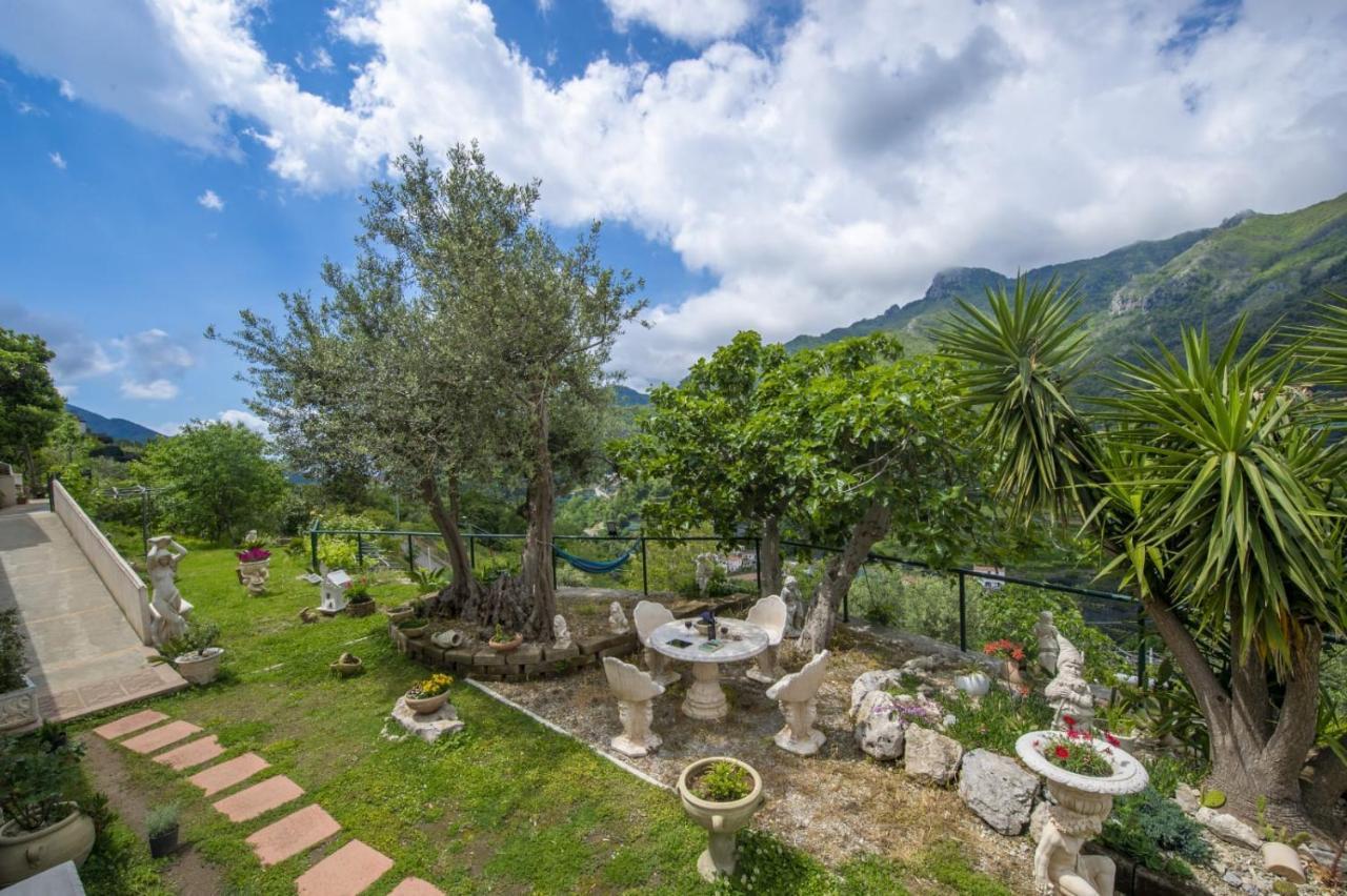 Il Mandorlo Bed & Breakfast Трамонти Екстериор снимка